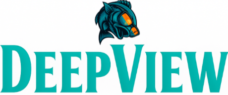 DEEPVIEW